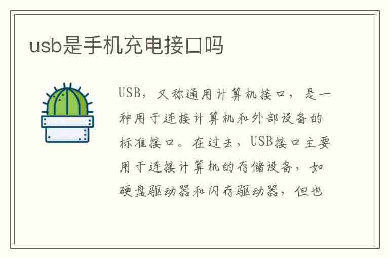 usb是手机充电接口吗(usb数据线是充电线吗)